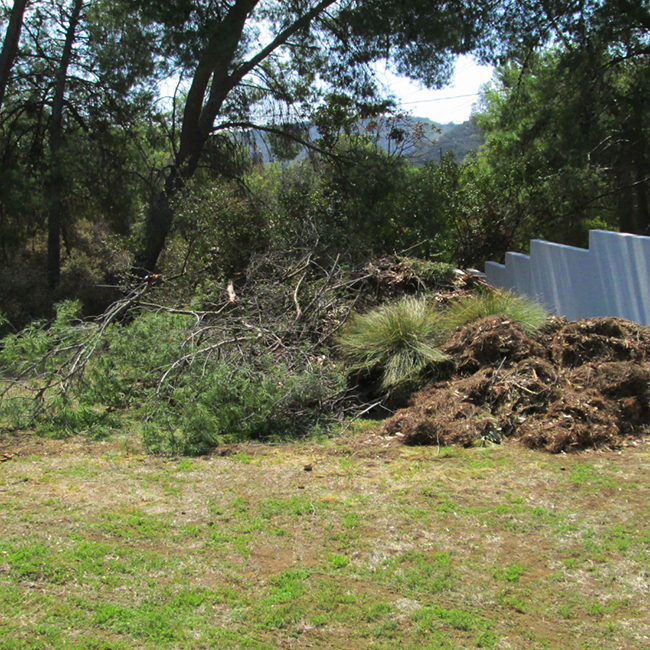 Yard Waste Removal Disposal Phoenix, Landscape Clean Up Mesa Az