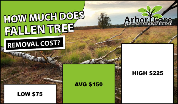 Fallen Tree Removal Cost