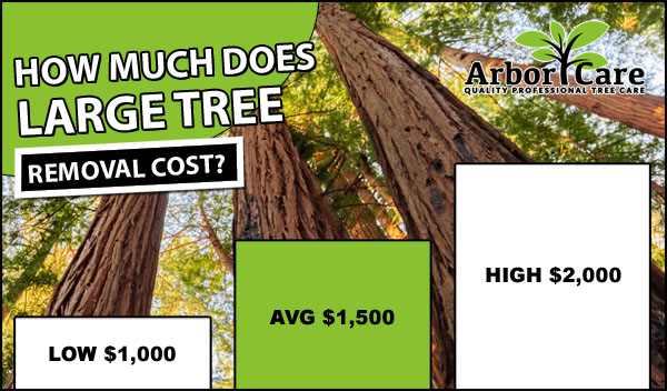 Large Tree Removal Cost