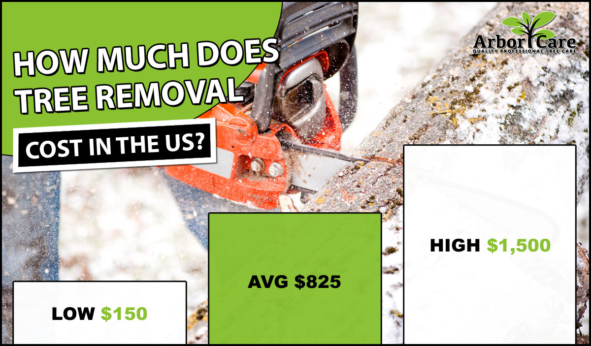 Average Tree Removal Prices