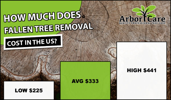 Business Tree Removal Pricing In Hughson, CA
 thumbnail