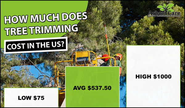 Tree Trimming servicing Kalamazoo, Michigan thumbnail