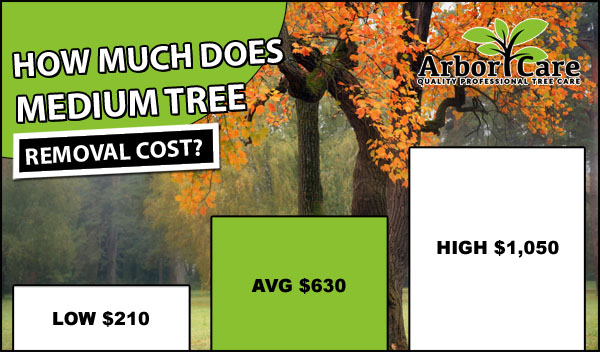 Medium Tree Removal Cost