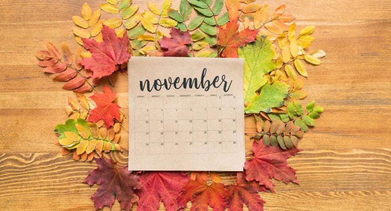 November Gardening Checklist Arizona