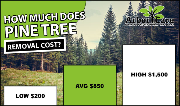 Discounts On Tree Trimming In Sonoma, CA
 thumbnail