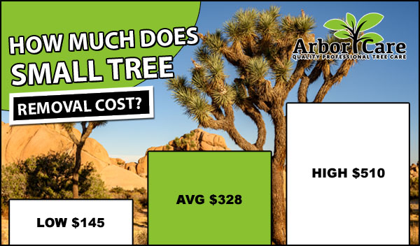 Small Tree Removal Cost