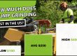 How Much Does Stump Grinding Cost in the US?