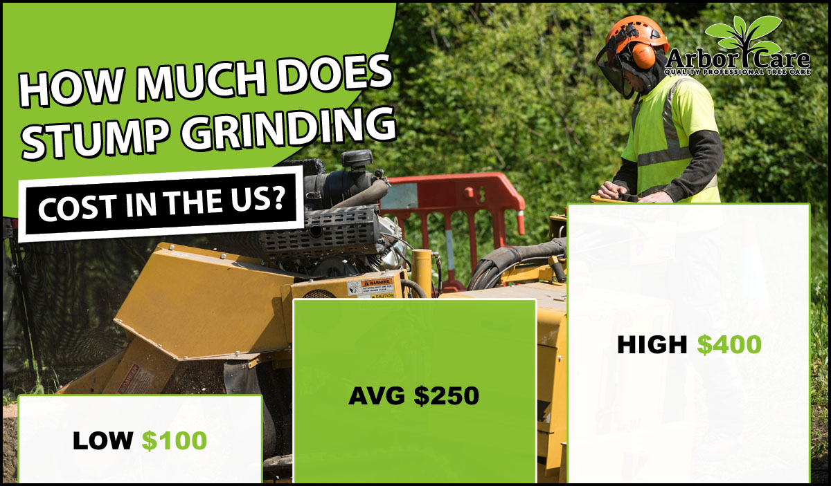 How Much Does A Stump Grinder Cost