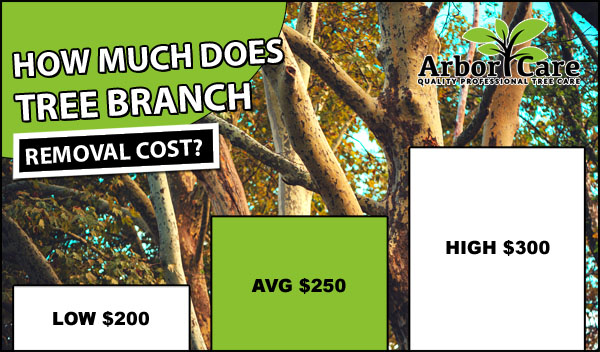 Tree Branch Removal Cost