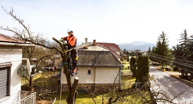 Problems With My Tree