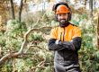 Safe Tree Removal - Phoenix Arizona