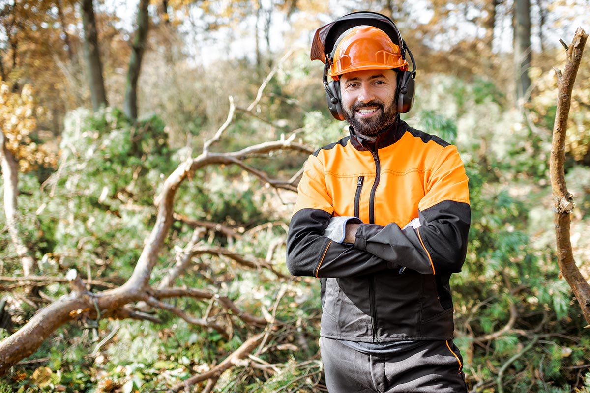 Tree Removal thumbnail
