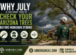July monsoon storms can expose weak branches, heavy canopies, leaning trees, and poor pruning cuts. Arbor Care helps Phoenix Valley homeowners prepare trees before storm damage becomes expensive.